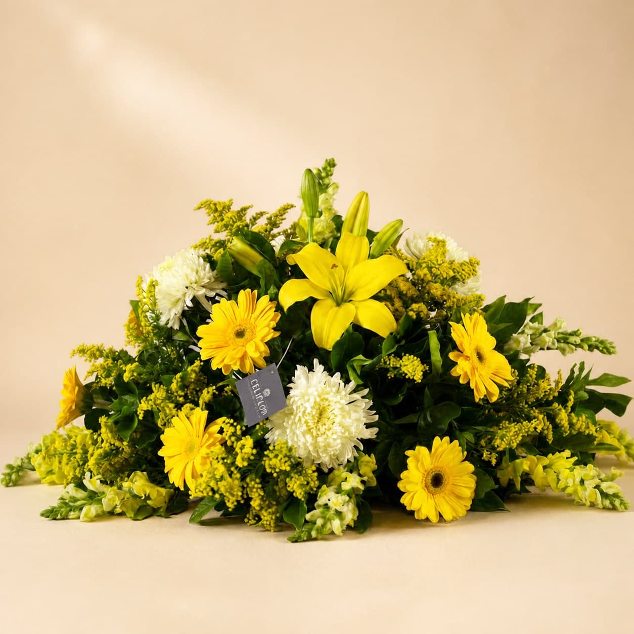 Palma Blanco y Amarillo